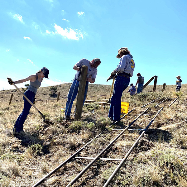 WY WSF Fence Project 1