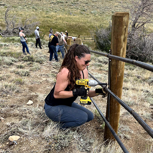 WY WSF Fence Project 3
