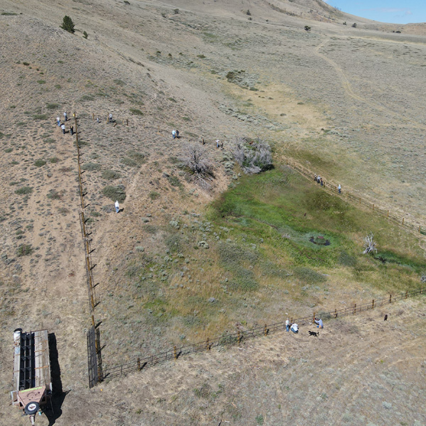 WY WSF Fence Project 4