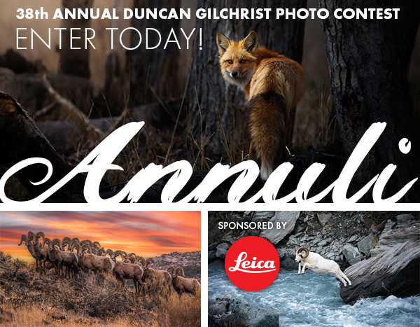 Banner promoting photo contest