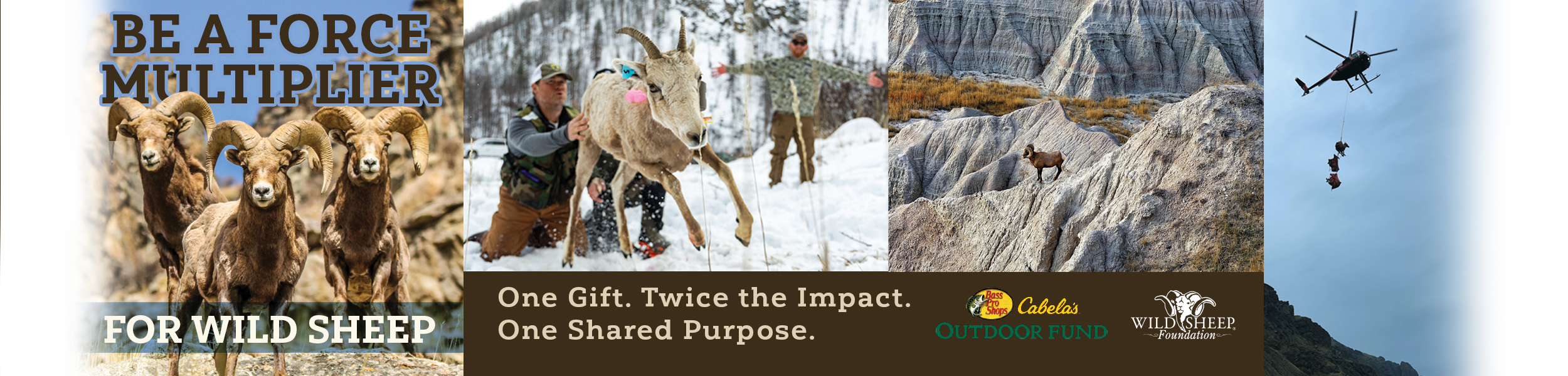 End of Year Fundraising campaign with Bass Pro Shop