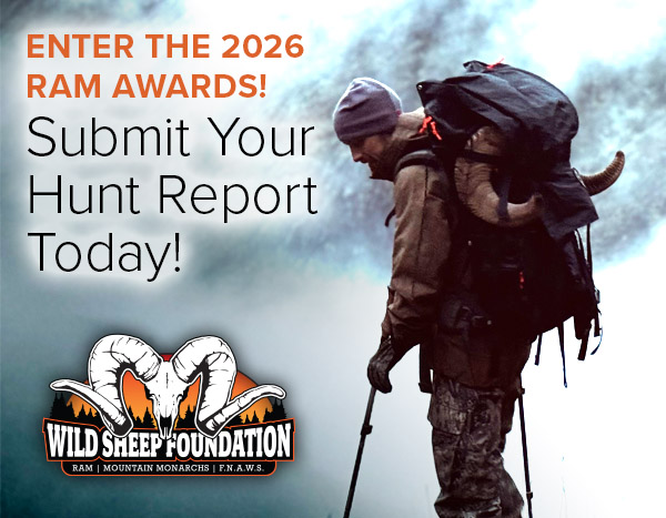 Hunt Report Banner