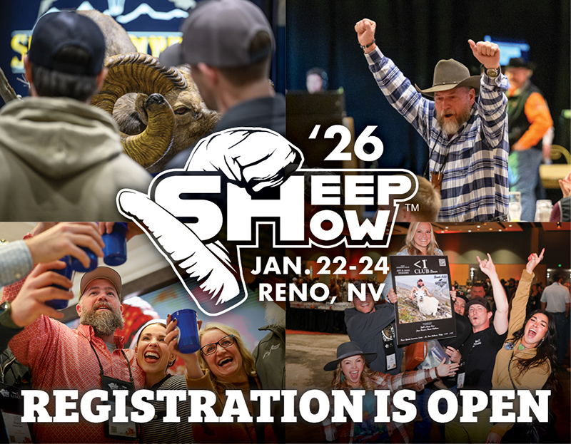 Sheep Show registration