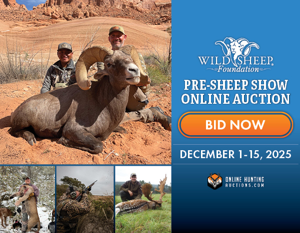 Banner promoting December Auction