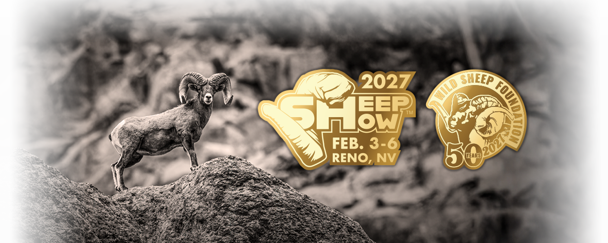 Register now for Sheep Show 2027