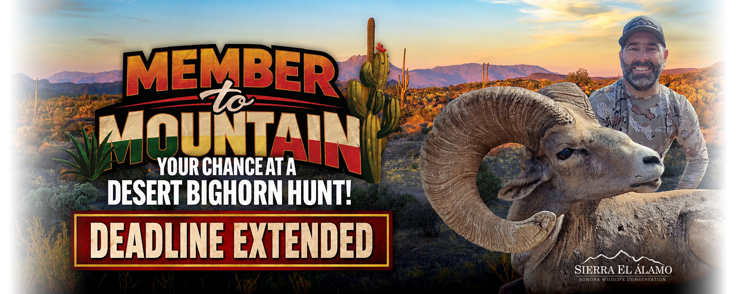 Win a desert bighorn hunt - Join Today
