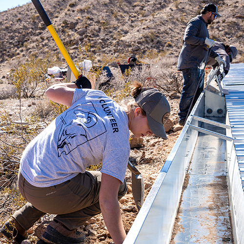 Volunteer working on a water guzzler