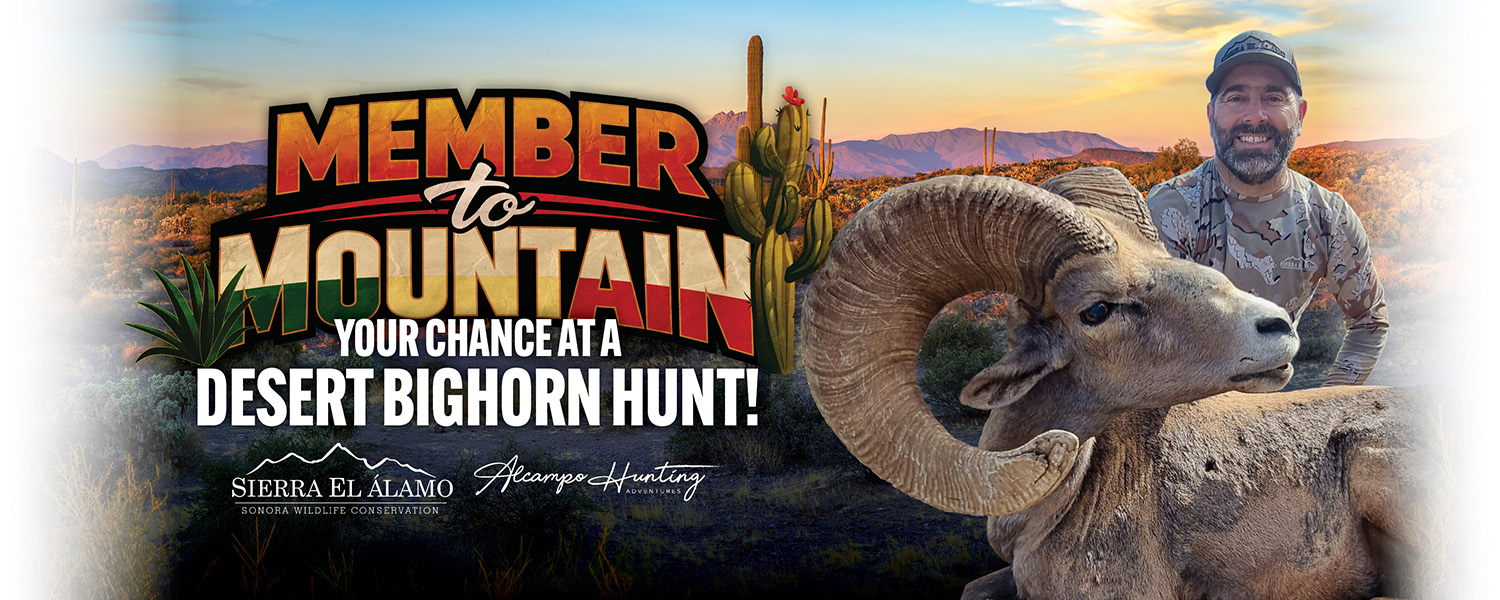Win a desert bighorn hunt - Join Today