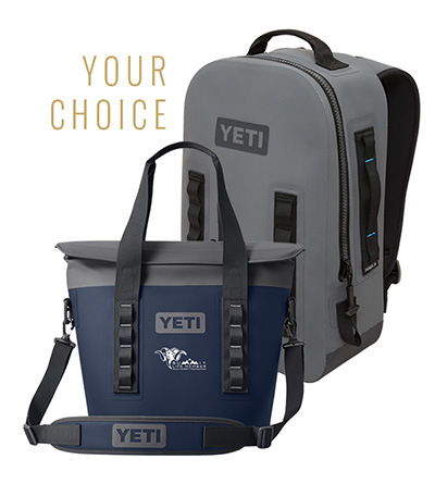 Summit Life Choose between Two YETIs