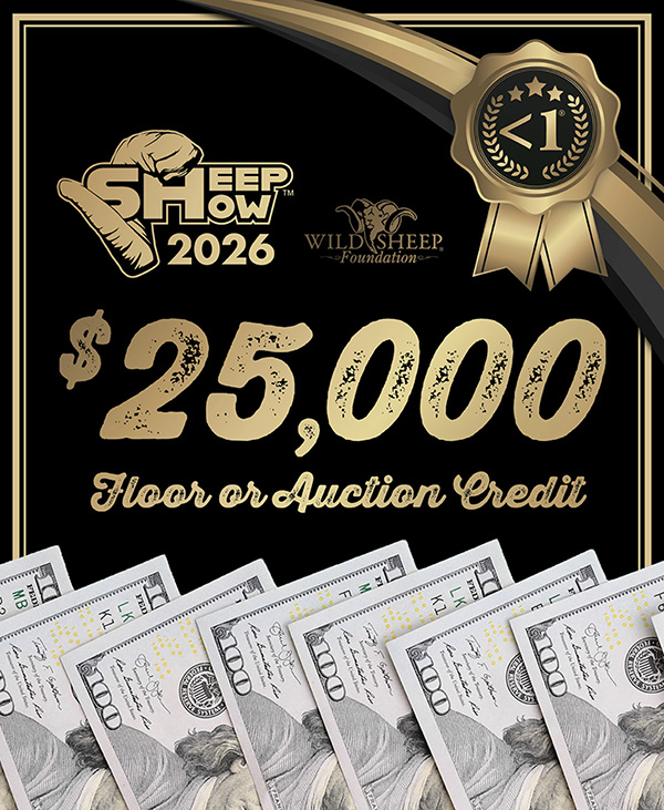 $25,000 Floor Credit Promotion