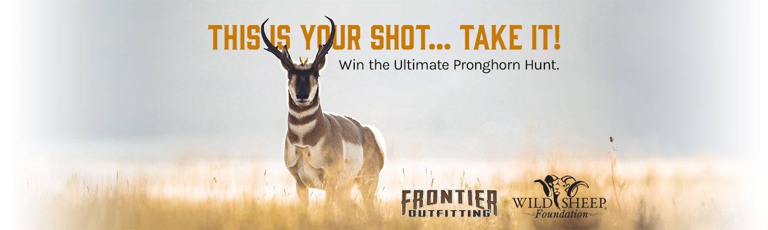 Win a New Mexico Pronghorn Hunt