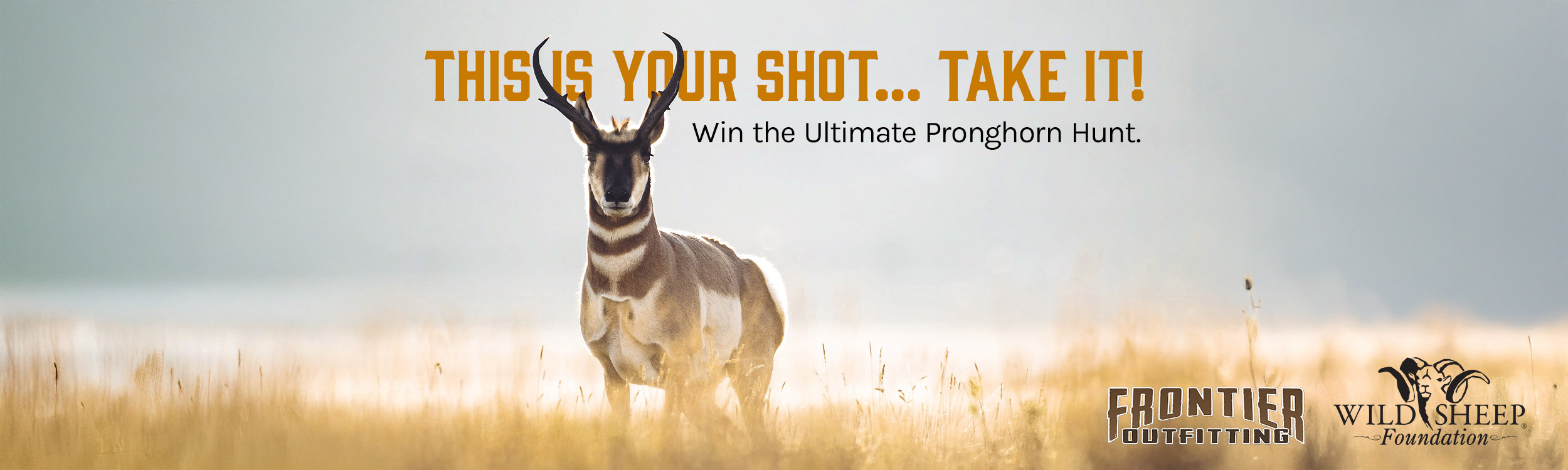 New Membership Promotion – Win the Ultimate Pronghorn Hunt