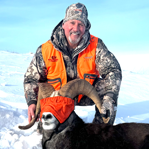 Gray Thornton with a ram