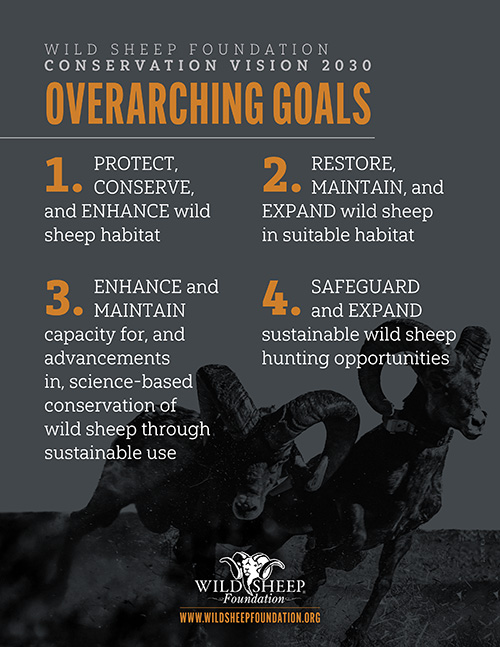 Conservation Vision 2030